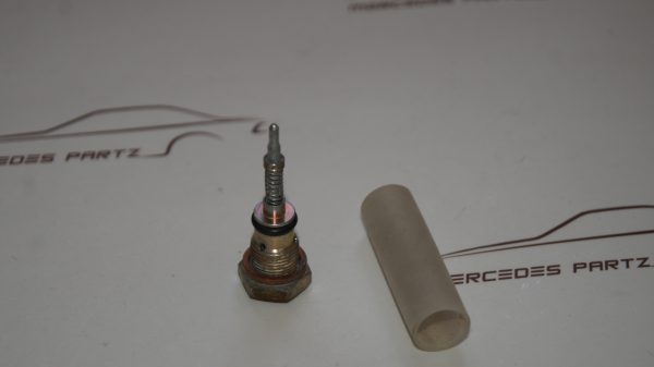 Pinochukka Set Di 4 Viti Di Tenuta Per Iniettori Di Carburante Con Rondella Compatibili Con Mercedes Vito Sprinter Classe A A6119900122 A6110170060